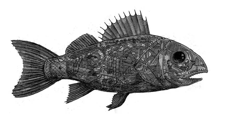 Design of fish with technical interior for glass cube with four anamorphic painters
