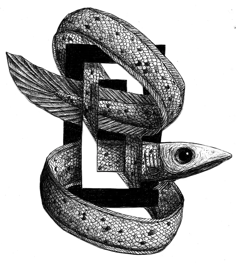 Biros drawing with optical illusion showing an eel moving through holes