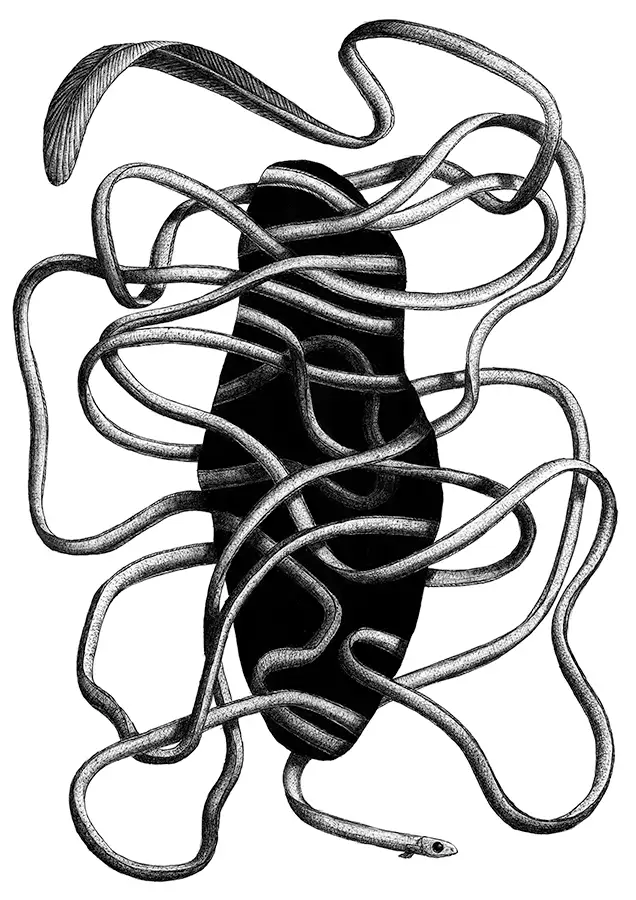 Ballpoint pen drawing with optical illusion showing an eel moving through a hole
