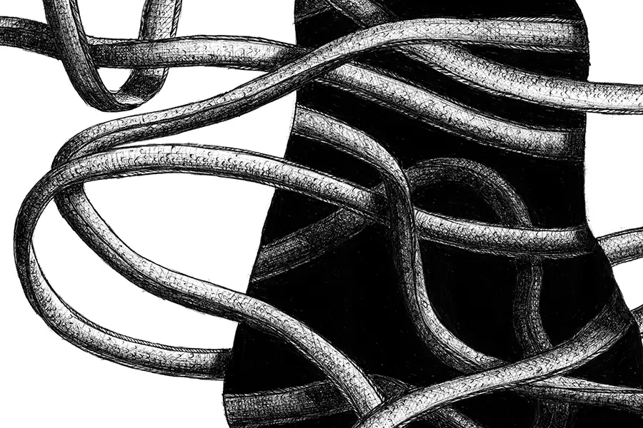 Detail of biros drawing with optical illusion showing an eel moving through a hole