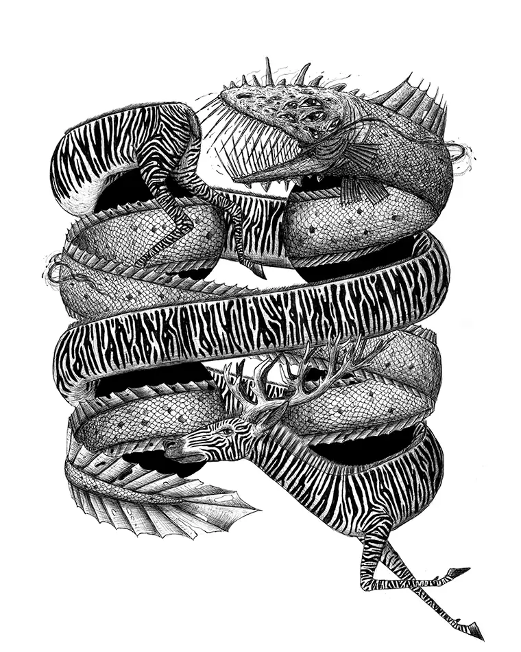 Biros drawing with optical illusion showing an eel and a zebra swimming through four holes