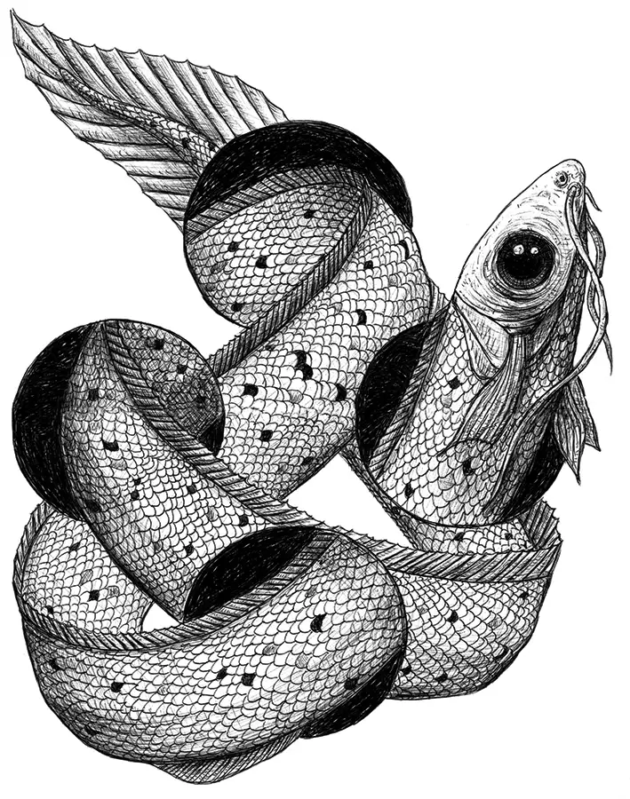 Biros drawing with optical illusion showing an eel moving through four holes