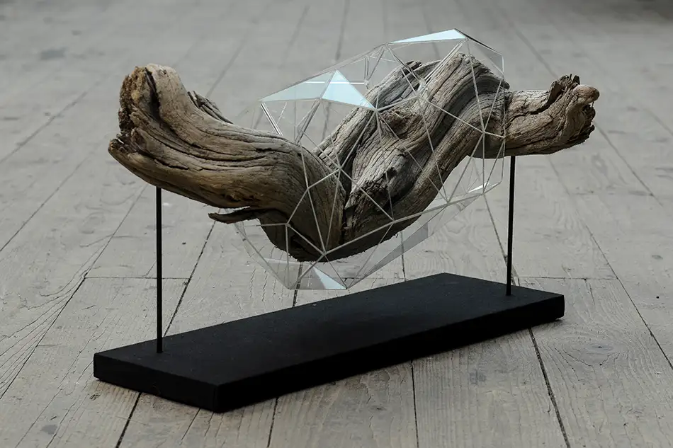 Crystalis artwork consisting of a piece of driftwood enclosed in a geometric glass construction