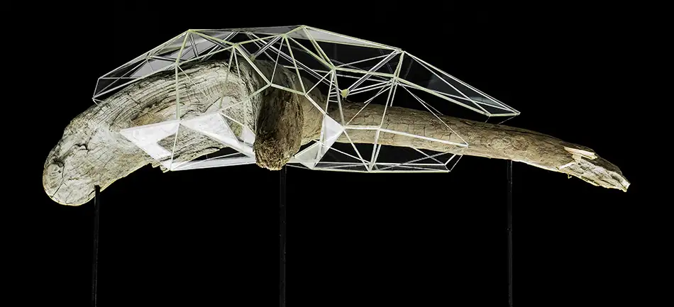 Crystalis artwork consisting of a piece of driftwood enclosed in a geometric glass construction