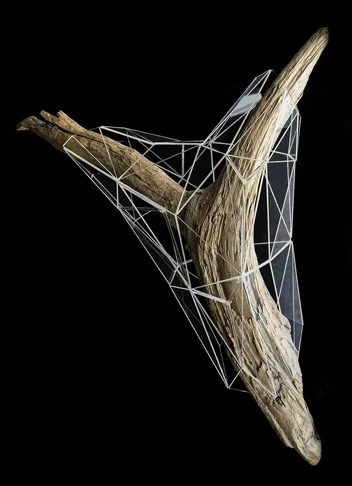 Crystalis artwork consisting of a piece of driftwood enclosed in a geometric glass construction