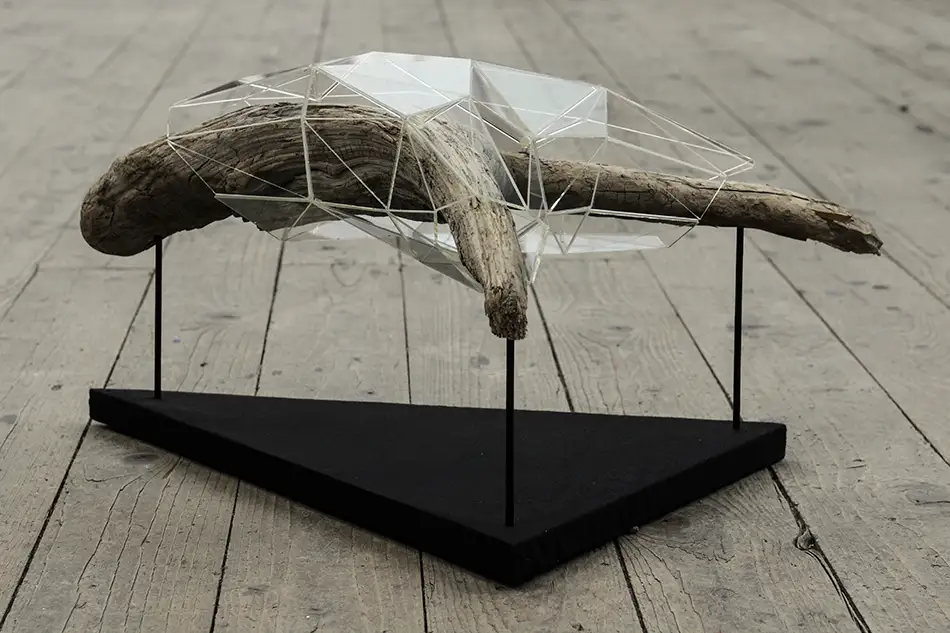 Crystalis artwork consisting of a piece of driftwood enclosed in a geometric glass construction