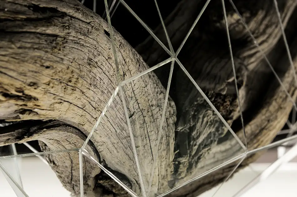 Detail of Crystalis artwork consisting of a piece of driftwood enclosed in a geometric glass construction