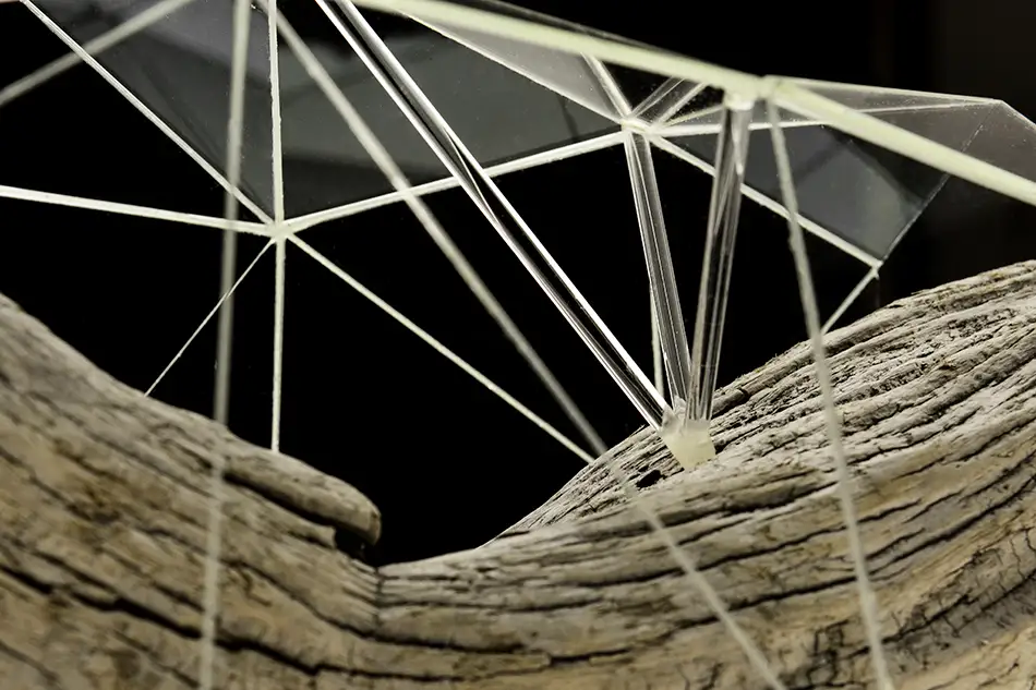 Detail of Crystalis artwork consisting of a piece of driftwood enclosed in a geometric glass construction