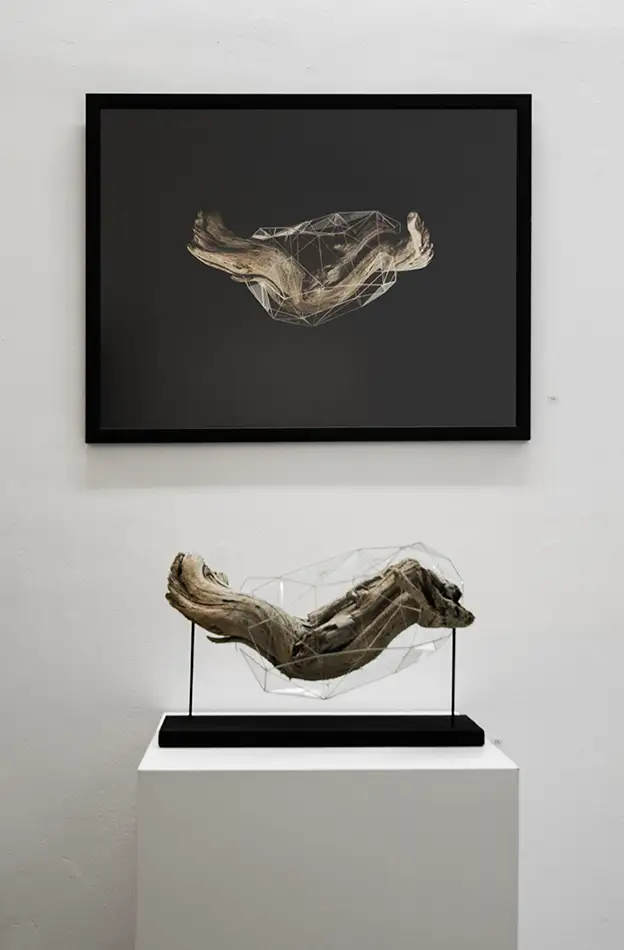 Exhibition view of Crystalis artwork consisting of a piece of driftwood enclosed in a geometric glass construction