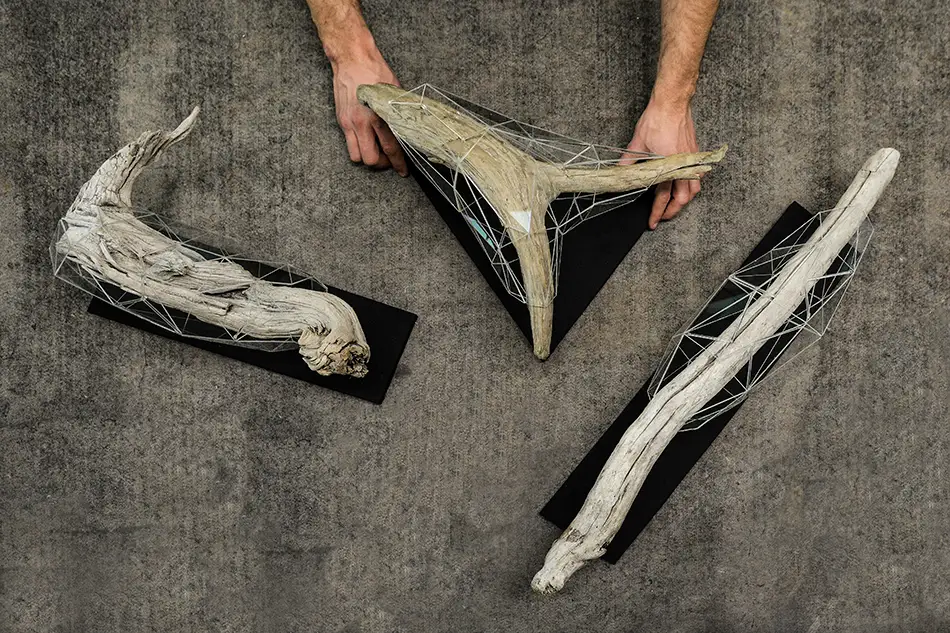 Crystalis artworks consisting of a piece of driftwood enclosed in a geometric glass construction