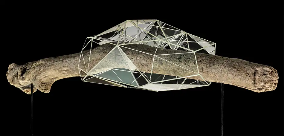Crystalis artwork consisting of a piece of driftwood enclosed in a geometric glass construction