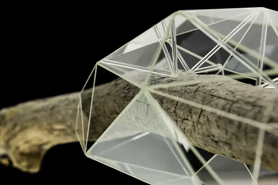 Detail of Crystalis artwork consisting of a piece of driftwood enclosed in a geometric glass construction
