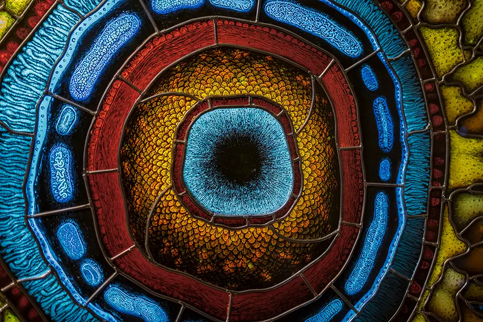 Detail of a detailed painted lead glazing reminiscent of a gigantic fluorescent cell
