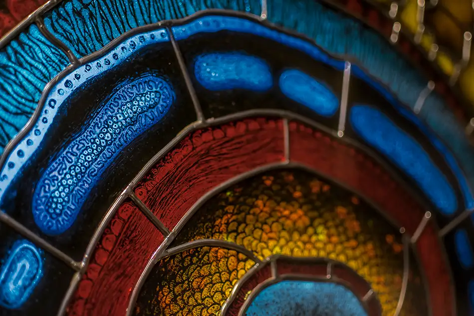 Detail of a detailed painted lead glazing reminiscent of a gigantic fluorescent cell