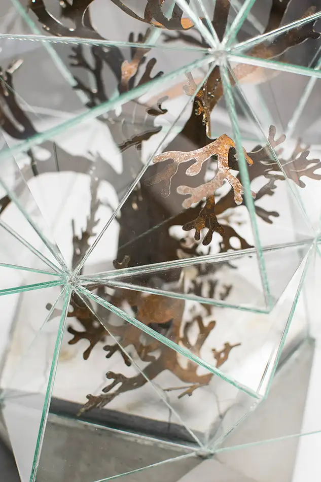 Artwork reminiscent of a greenhouse, consisting of a geometric glass enclosure, a concrete plinth and a plant-like steel structure - detail