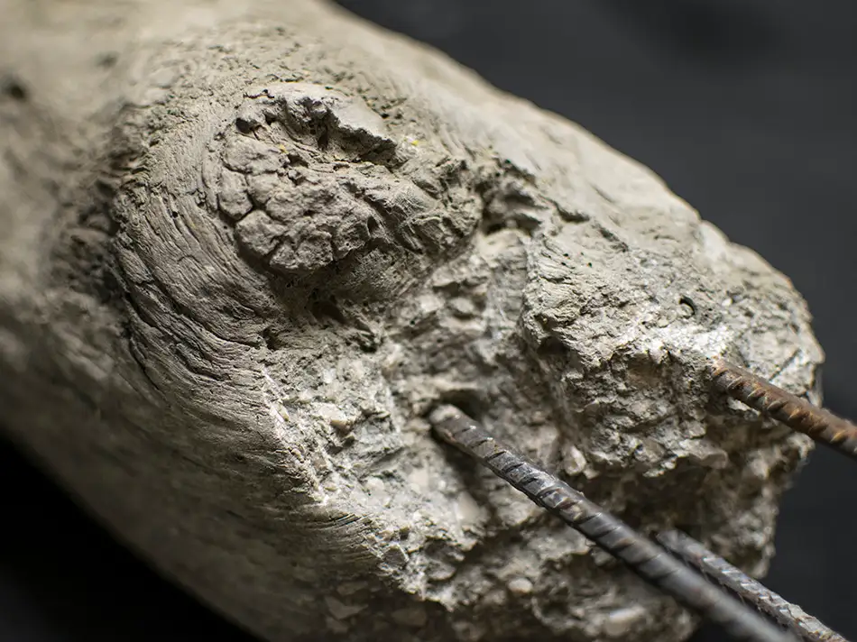 Concrete cast of a piece of driftwood with protruding reinforcing bars, a hybrid object between nature and industry - detail
