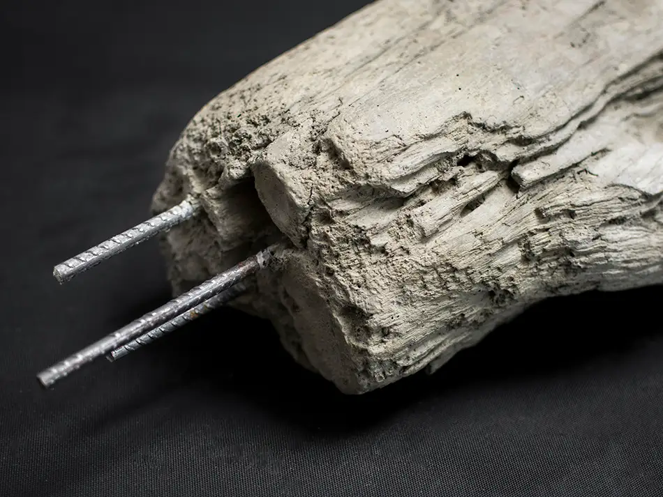 Concrete cast of a piece of driftwood with protruding reinforcing bars, a hybrid object between nature and industry - detail