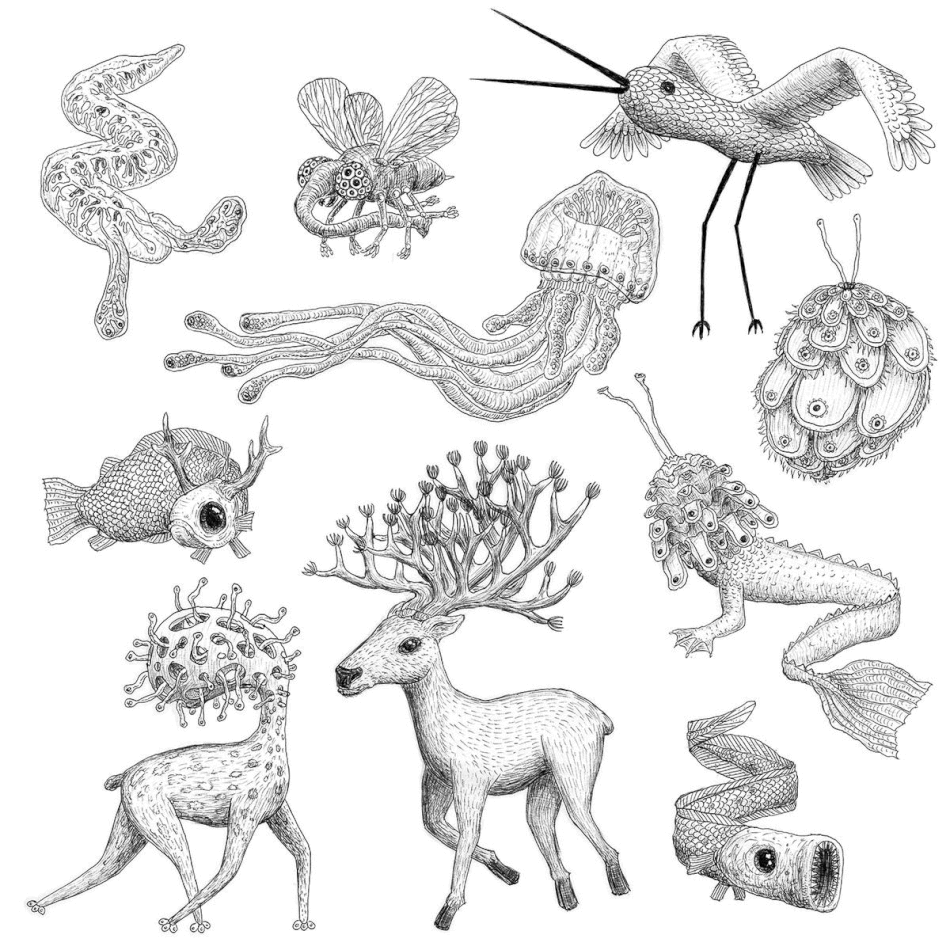 Animated illustration with fantastic animals that open and close their eyes