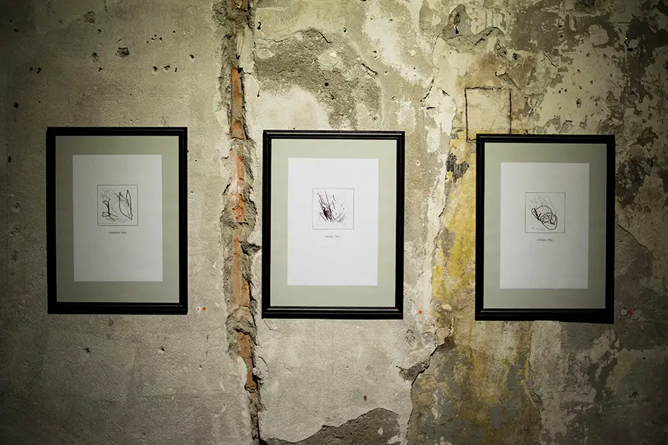 Exhibition view of the series *** this! in the Bäckerei Kulturbackstube Innsbruck