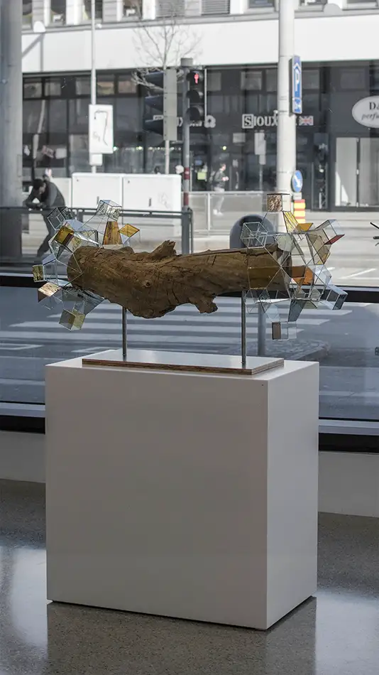 Crystalis V - geometric glass artwork on a piece of driftwood - exhibition view Stadtbiliothek Innsbruck