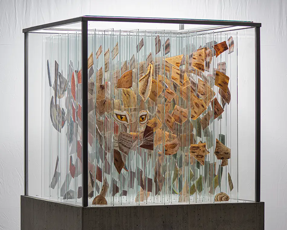Human Animal Binary - anamorphic stained glass ecological art installation - lynx halb disassembled