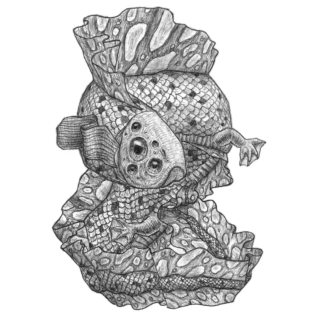 Polytrauma - series of pencil drawings in sketch book - salamander eel