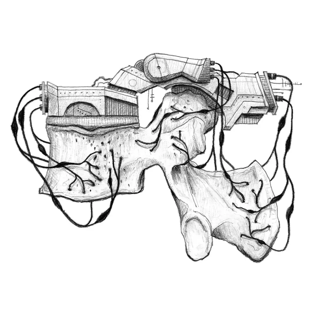 Polytrauma - series of pencil drawings in sketch book - vertebra with nerves that are coming out of a machine