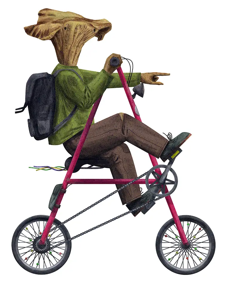 Biodivercycle - alphabeth from bicycles Plants and animals - letter A