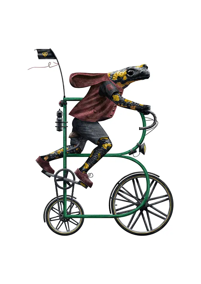 Biodivercycle - alphabeth from bicycles Plants and animals - letter B