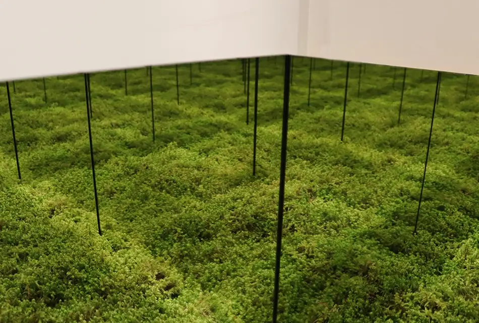Ecotopia - Spiegel Kunst Installation - Nahaufnahme